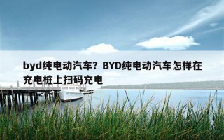 byd纯电动汽车？byd纯电动汽车怎样在充电桩上扫码充电