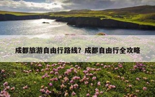 成都旅游自由行路线？成都自由行全攻略