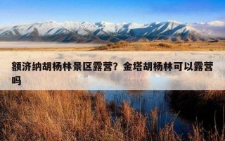 额济纳胡杨林景区露营？金塔胡杨林可以露营吗